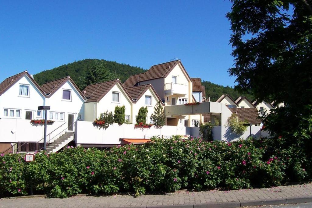Seglerfewo Mit Traumhaftem Blick Vom Balkon Scheid  エクステリア 写真